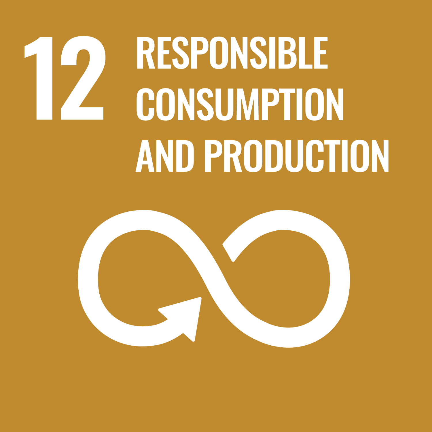 SDG 12. Responsible consumption and production