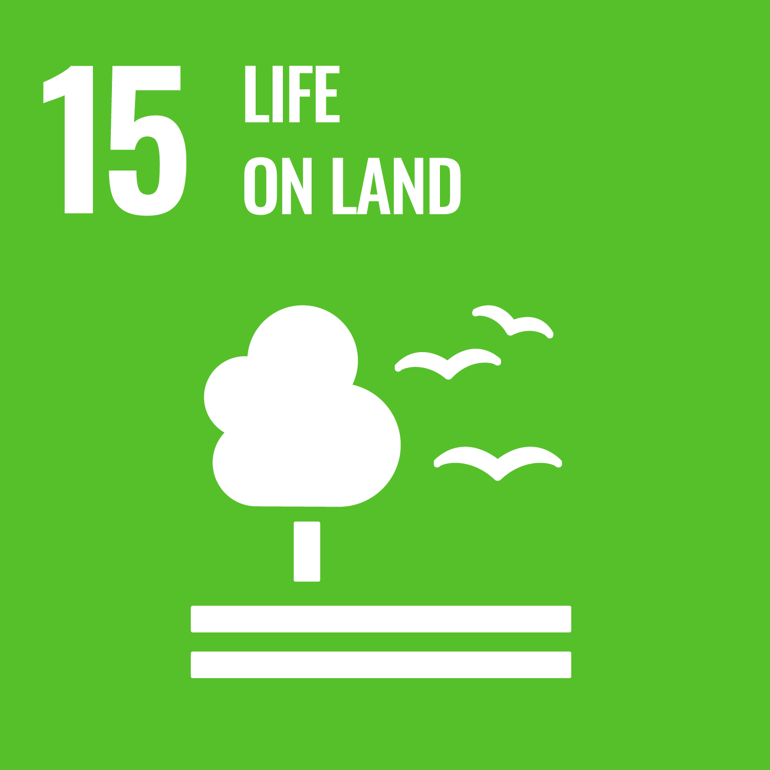 SDG 15. Life on land