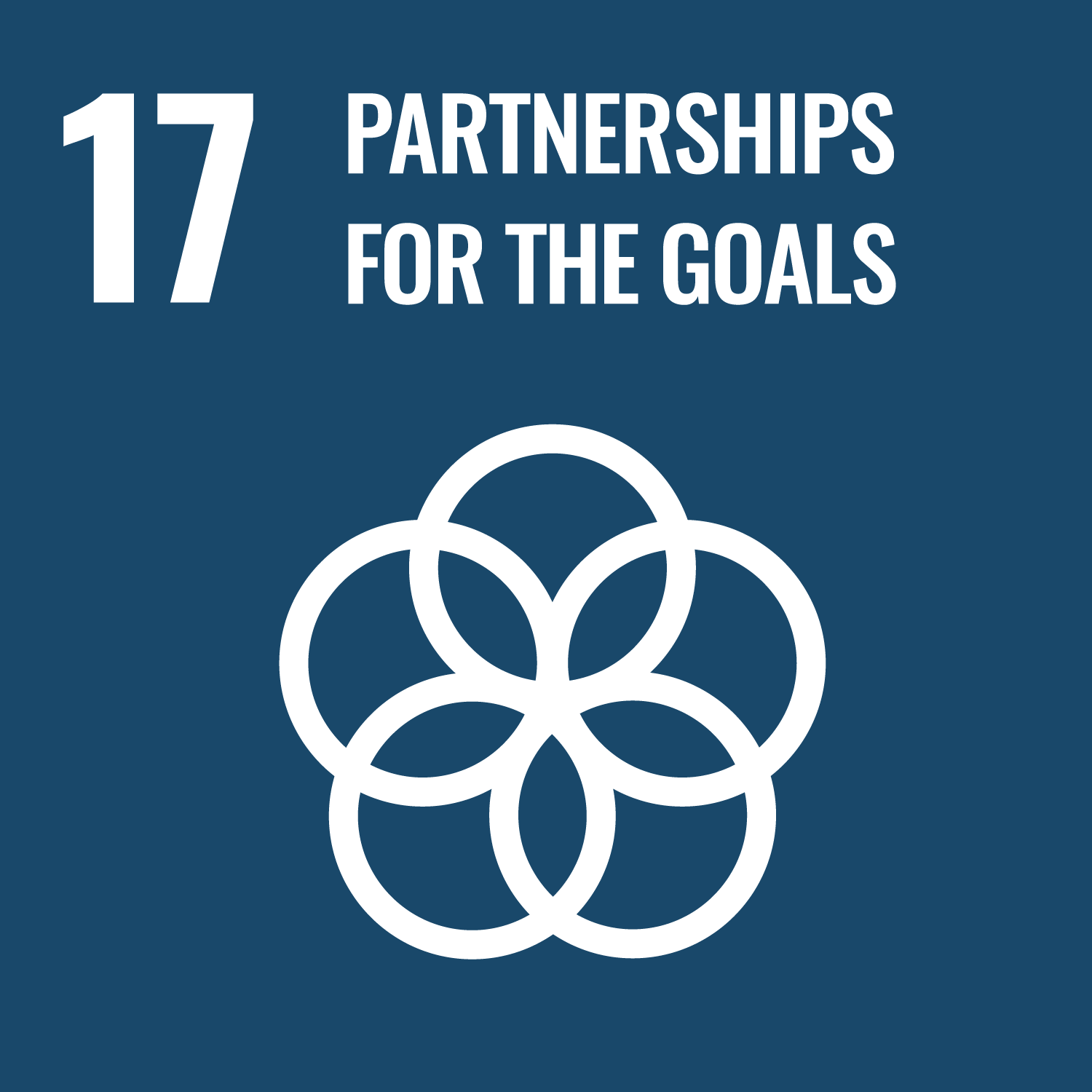 SDG 17. Partnerships For The Goals